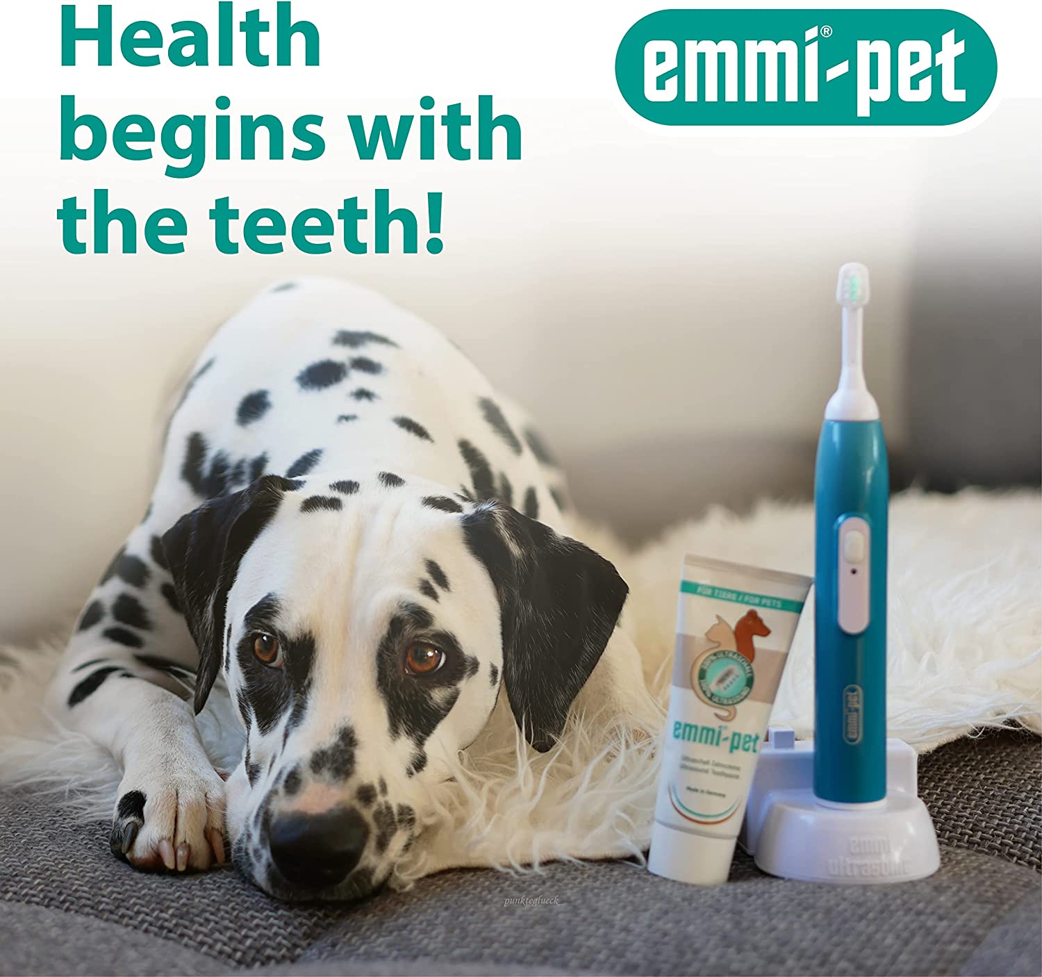 emmi-pet teeth cleaning info