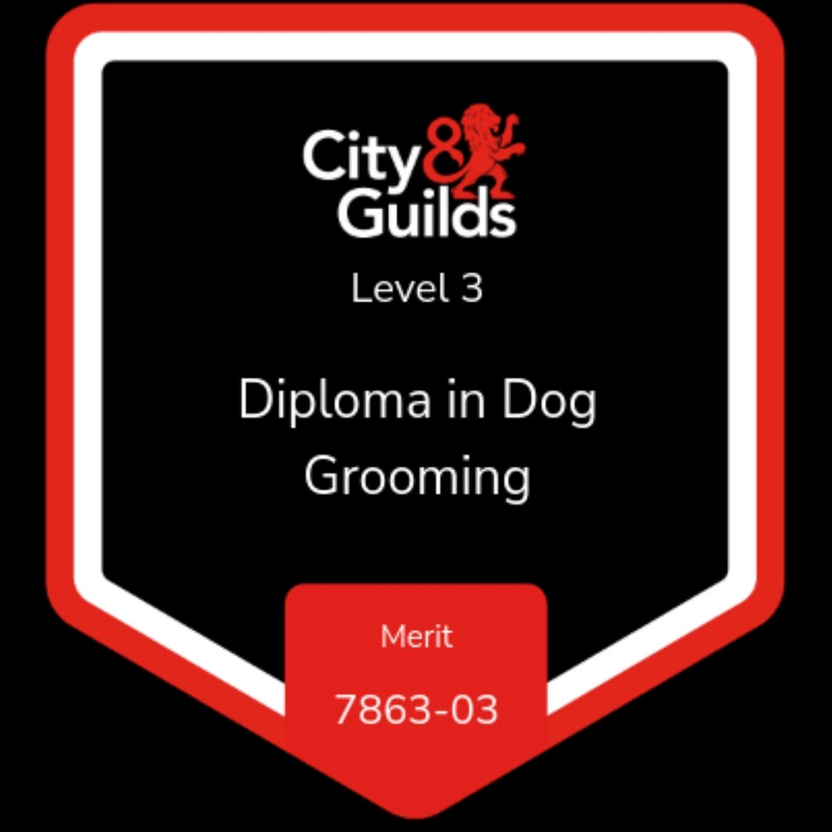 Level 2 city and guilds certificate